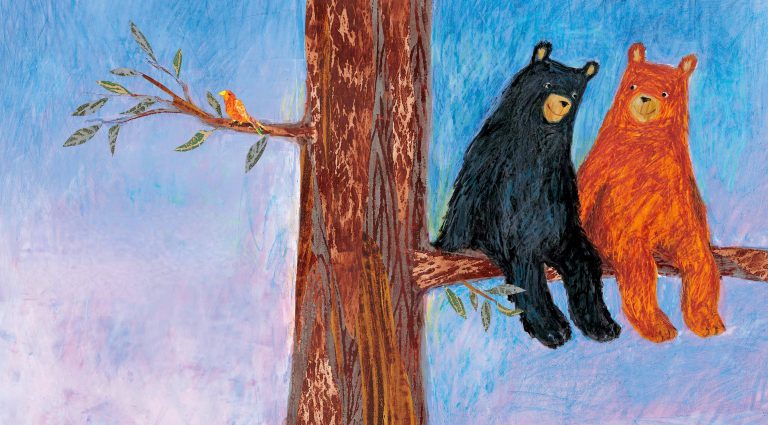 Illustration of a bear